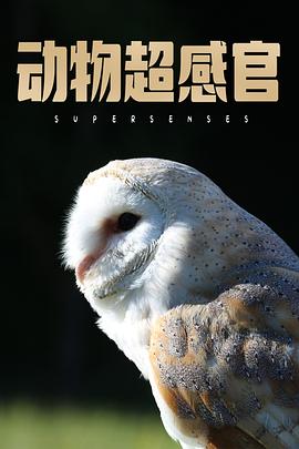 动物超感官