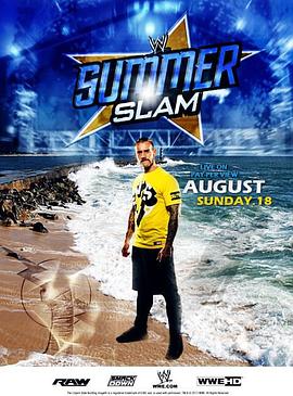 WWE:夏日狂热2013