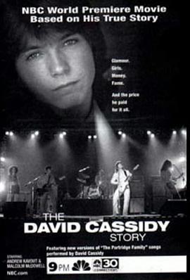 TheDavidCassidyStory