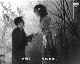 紅菱血