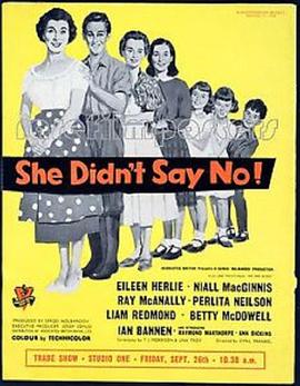 SheDidn&#39;tSayNo!