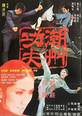 潮州功夫