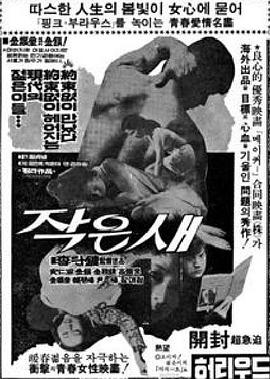 작은새