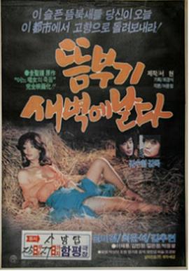 뜸부기새벽에날다