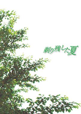 剃须的夏天