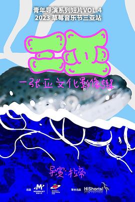 三亚：一张亚文化影像专辑