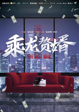 乘龙赘婿