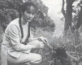 山歌恋