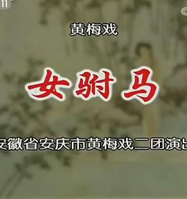 女驸马