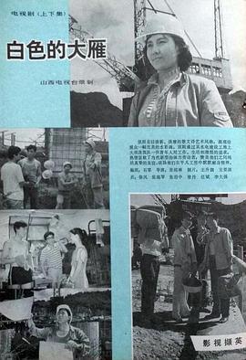 白色的大雁