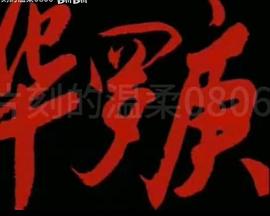华罗庚