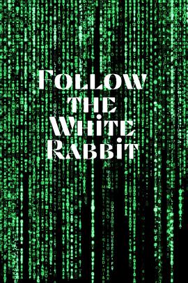 TheMatrix:FollowtheWhiteRabbit
