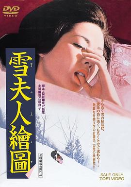 雪夫人绘图