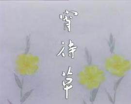 宵待草