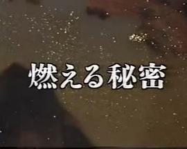 燃烧的秘密