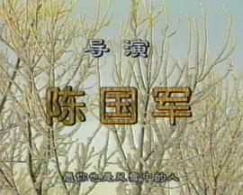 飘雪