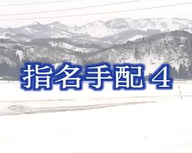 通缉令4