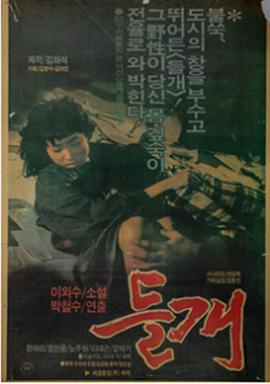 野狗