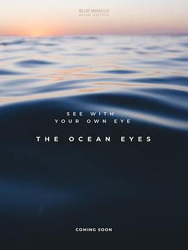 海洋之眼