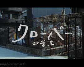 四叶草