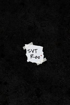 SVTRecord2024
