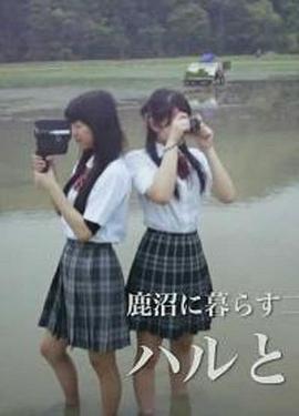 ネコヤドのハルとアキ