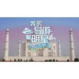 我的导游是明星14