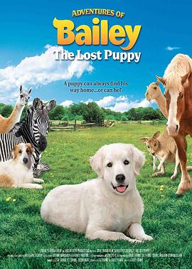 AdventuresofBailey:TheLostPuppy