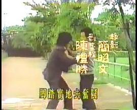 爱情红绿灯