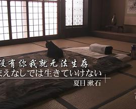 没有你我就无法生存——爱猫艺术家的故事