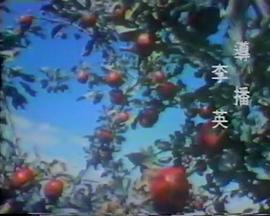 万家灯火