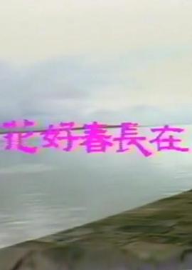 花好春长在