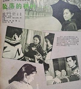 坠落的树叶