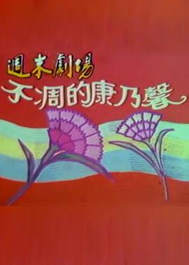 不凋的康乃馨
