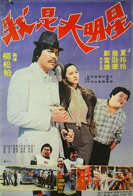 我是大明星