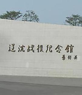 百家讲坛：王树增解读辽沈战役
