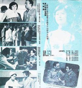 蓓蕾