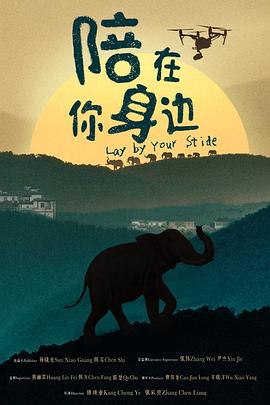 陪在你身边